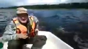 Весьегонский остров