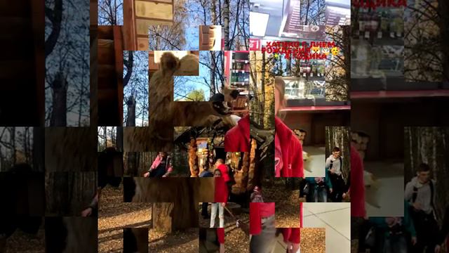 хатико день рождения 4 годика смотреть онлайн