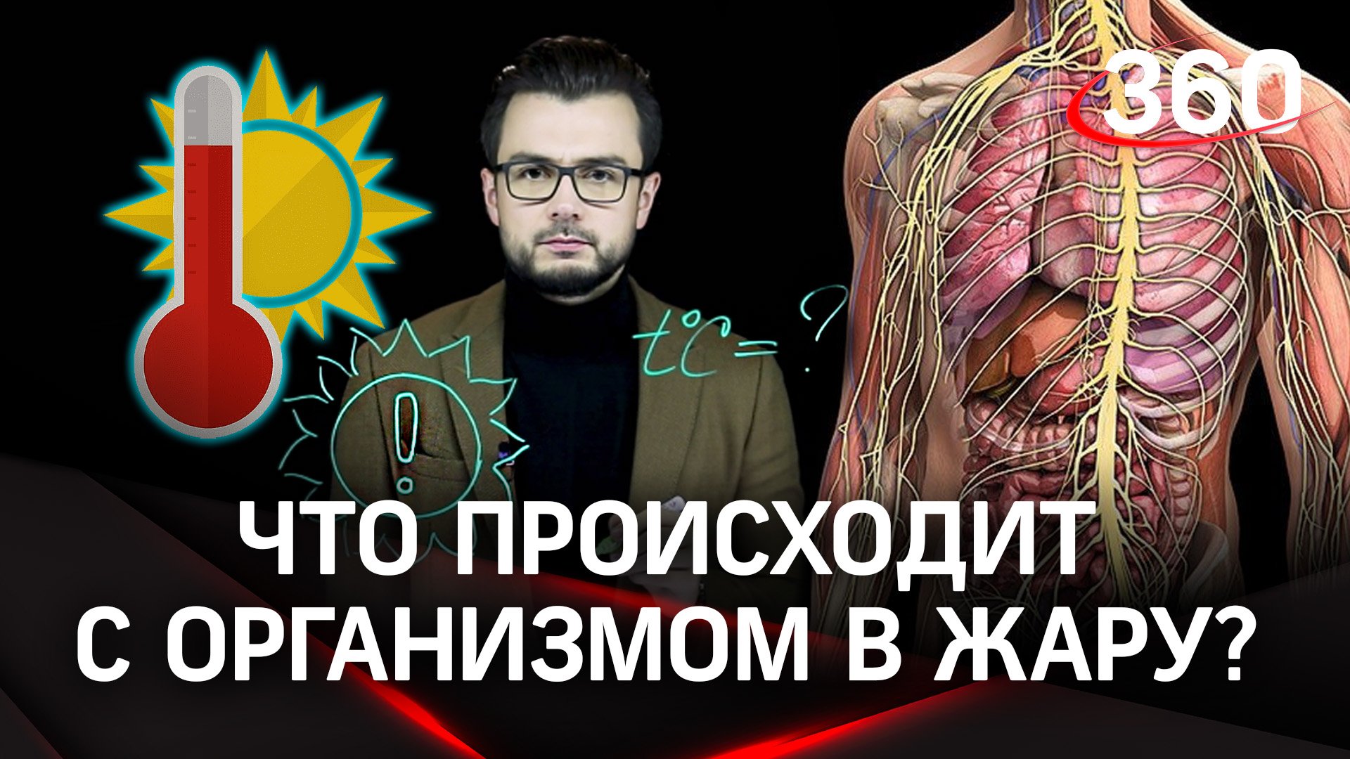 Что происходит с организмом человека в жару | «Научпоп» с Эльдаром Рахимовым
