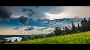 Дымовые шашки для лечения животных, дезинфекции и дезинсекции