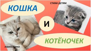 Кошка и котенок. Взято, прямо из жизни. Стихи детям о привязанности, любви и заботе о животных .