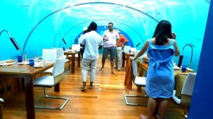 Мальдивы ресторан под водой Ithaa Undersea Restaurant