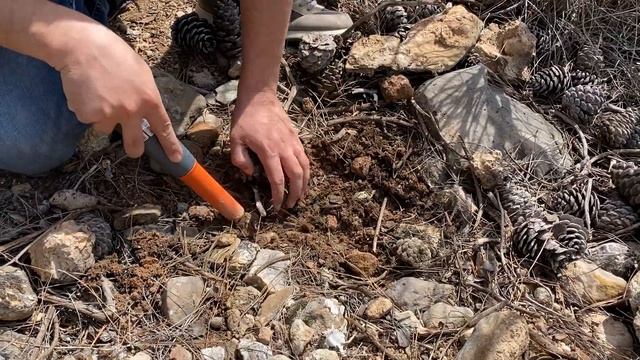 We did it one by one with a metal detector. смотреть онлайн