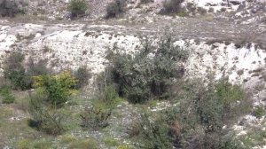 Керчь. Карьер для добычи камня известняка-рядом карьер стройки века.