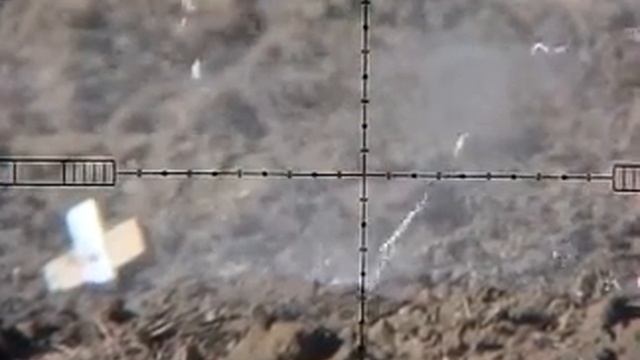 Taipan Mutant 80m смотреть онлайн