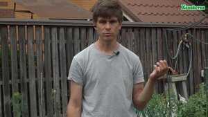 5 лучших способа избавиться от вершинной гнили