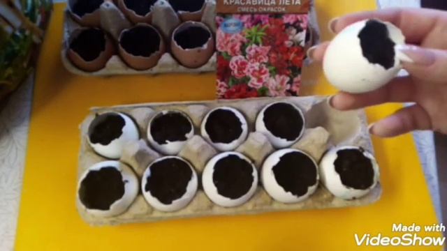 САДИМ В ЯИЧНУЮ СКОРЛУПУ смотреть онлайн