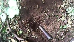 Коп в Новой Зеландии - В погоне за серебрянными монетами