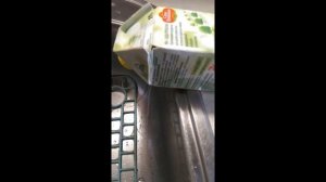 МАШ НАШ. ПРОРАЩИВАНИЕ МАША В КОРОБКЕ ИЗ ПОД СОКА