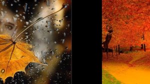 Очень красивое видео про осень!? ?? Очарование осени в красках!