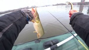 ВЕСЕННЯЯ  щука, часть вторая