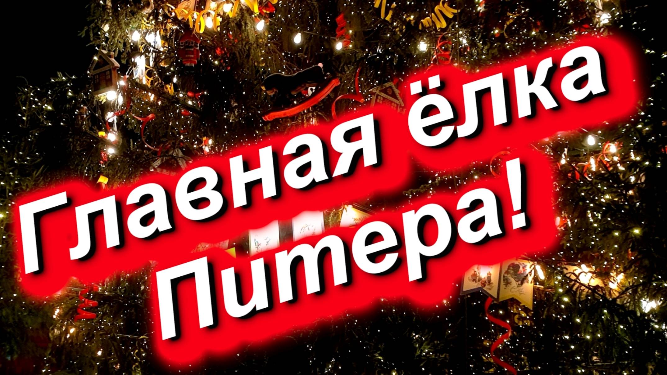 Главная елка Питера. Дворцовая площадь. 27.12.2023 #Петербург #Питер #площадь #Дворцовая #елка