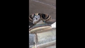 Volvo Penta IPS drive removal