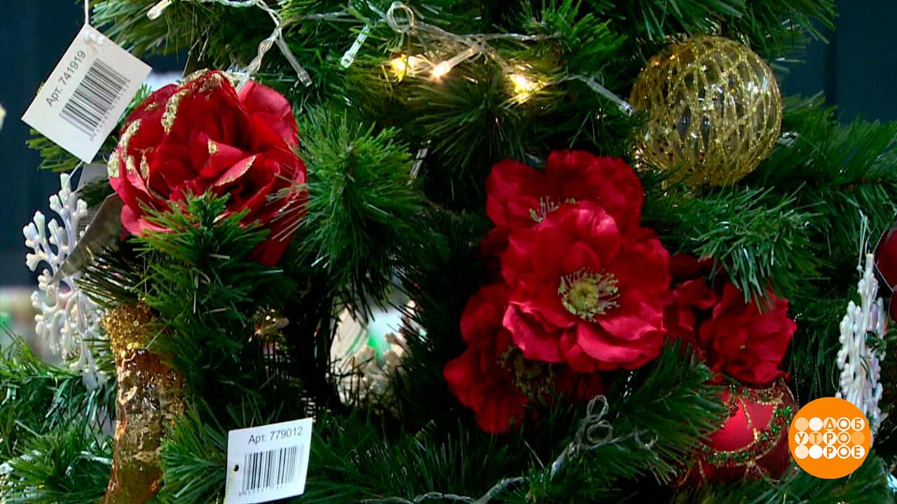 Праздник нужен всем! Доброе утро. Суббота. Фрагмент выпуска от 16.12.2023