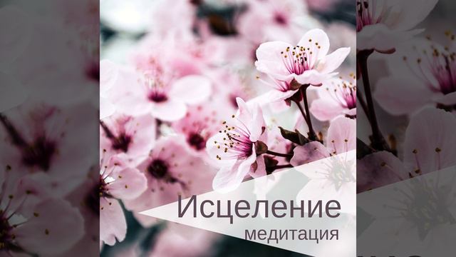 Исцеление медитация смотреть онлайн