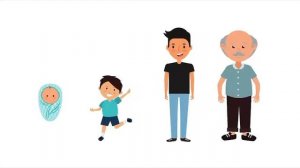 Видео 1  Четыре царства живой природы