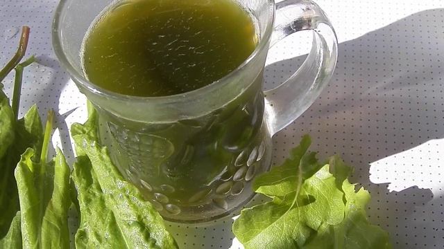 Быстрый зЕЛЕНЫЙ КОКТЕЙЛЬ ИЗ ЩАВЕЛЯ ШПИНАТА И САЛАТА смотреть онлайн