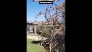 Светлана_Санжаровская (ОТЗЫВЫ учениц)