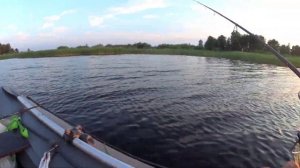 Рыбалка Июль,Рыбинское водохранилище