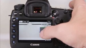 Tutorial Canon 5D Mark IV / Что делает каждая функция / Часть 8 (Сенсорный экран)