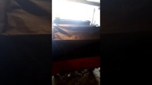 Муравей с лопатой, тент на кузов и прицеп