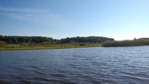 Электродвигатель WaterSnake FWT30TH/26. Первый выплыв после покупки