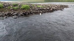 Трудовая рыбалка на Нижней Тунгуске