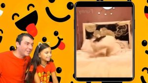 ВСЕ СМЕШНЫЕ КОТЫ! СБОРНИК! ЛУЧШИЙ НЕ ЗАСМЕЙСЯ ЧЕЛЛЕНДЖ! Funny Cats Попробуй не засмеяться Валеришка