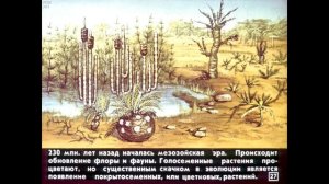 Диафильм Эволюция жизни на земле. Жизнь как этап развития