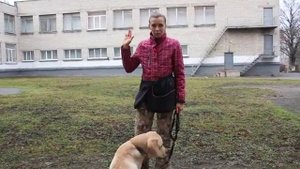 Упражнения на отработку внимания собаки