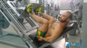 Жим ногами в тренажере: техника выполнения