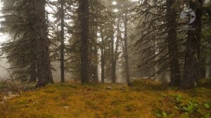 Охота и рыбалка в Восточном Саяне