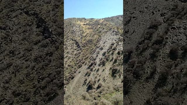 Forish tumani Nurota tog‘lari смотреть онлайн