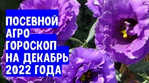 Посевной агрогороскоп на декабрь 2022 года Посівний агрогороскоп на грудень 2022 року