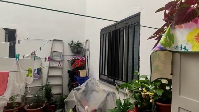 Много всяких новостей.#испания#мояжизнь