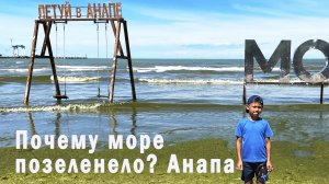 Почему море позеленело? Анапа