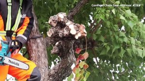 Makita Cordless Chain Saws UC002G, UC003G, UC004G AND UC005G