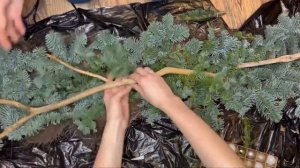 Новогодняя композиция из нобилиса своими руками / Christmas decorations 2023 / Nobilis branches
