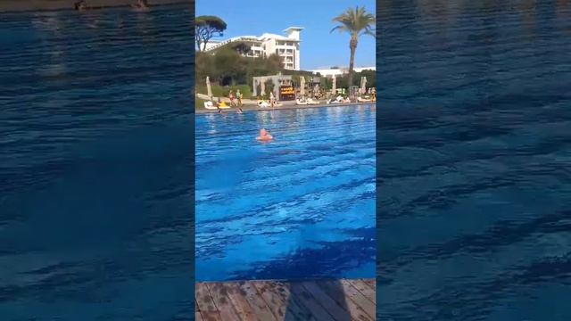 ТУРЦИЯ - ЗИМА. RIXOS PREMIUM BELEK. КУПАНИЯ В ЯНВАРЕ. #shorts