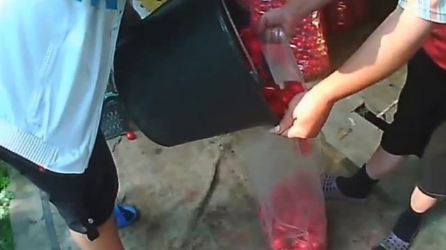 как вырастить редиску готовая редиска смотреть онлайн