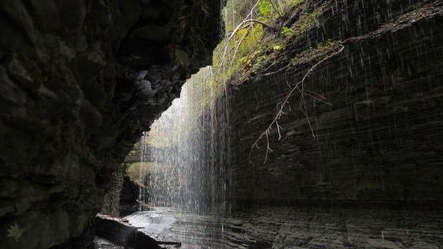 послушайте эту музыку и вам станет легче🌿Нежная музыка,успокаивает нервную систему и радует душу #4