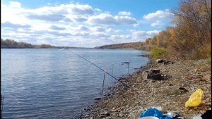 рыбалка на дону.неожиданная встреча.