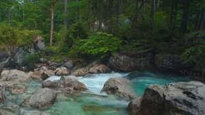 15 минут прекрасной расслабляющей музыки для медитации, отдыха или сна.