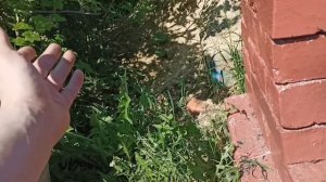 Печь на дачу из старого кирпича в деле