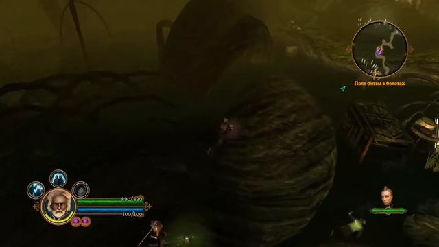 Прохождение Dungeon Siege III #9 - Великая Фортеция