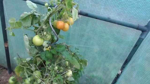 Garten im Oktober Gartenarbeiten im Oktober Gartenpflege Gartentipps herbst смотреть онлайн