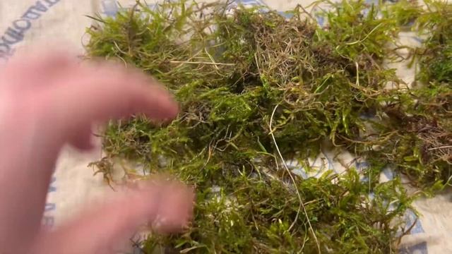 Пасхальный влог?Обзор покупок? Обновляю старые разделочные доски смотреть онлайн