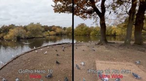 GoPro Hero 10 vs iPhone 12 Pro Max | [4K] 60 | Quick Test Footage