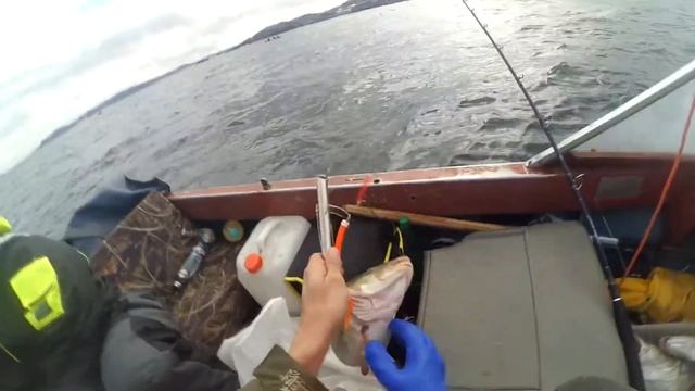 Бешеная рыбалка! 1 рыба в минуту на приманки VynFish смотреть онлайн