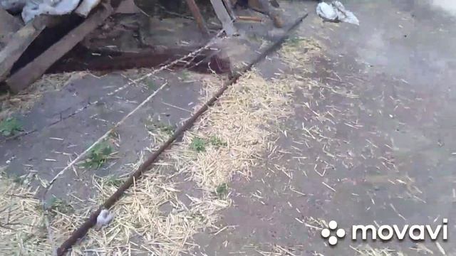 Установил прожектор.Спасаю собак от мух. смотреть онлайн